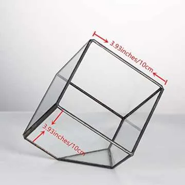 NCYP Small 3.93 Inches Geometric Glass Terrarium Box, Inclined Cube Clear Decorative Planter, Tabletop Air Plant Holder, Succulent Display Flower Pot, Black Centerpiece (No Plants, No Lid)