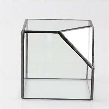 NCYP Small 3.93 Inches Geometric Glass Terrarium Box, Inclined Cube Clear Decorative Planter, Tabletop Air Plant Holder, Succulent Display Flower Pot, Black Centerpiece (No Plants, No Lid)