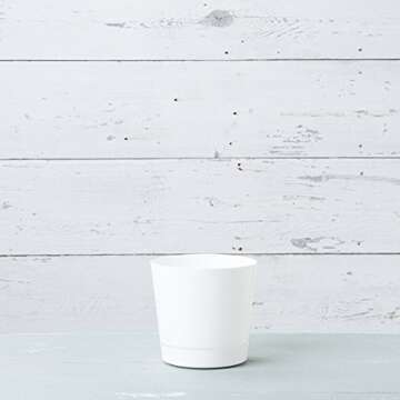 Novelty Majestic Full Depth Round Cylinder Pot, Glossy White, 8-Inch (10082)