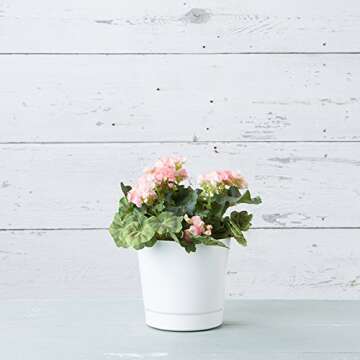 Novelty Majestic Full Depth Round Cylinder Pot, Glossy White, 8-Inch (10082)