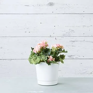 Novelty Majestic Full Depth Round Cylinder Pot, Glossy White, 8-Inch (10082)