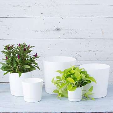 Novelty Majestic Full Depth Round Cylinder Pot, Glossy White, 8-Inch (10082)