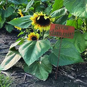 Island Genius Grow Dammit Funny Garden Sign, Unique Outside Gardening Decor Outdoor, Flower Vegetable Garden Accessories, Fun Gardening Gifts for Women Men Mom Gardener Who Love Plants, Alloy Steel