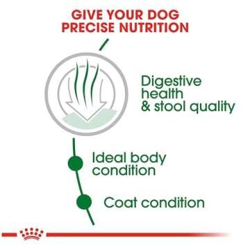 Royal Canin Small Indoor Adult Dry Dog Food, 2.5 lb