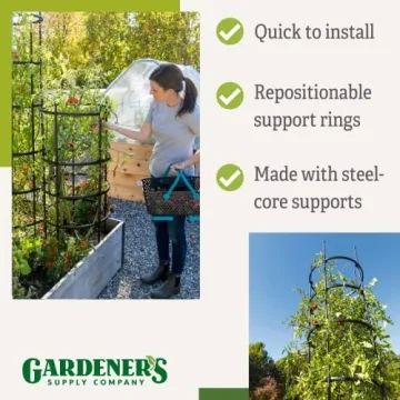 Titan Tomato Cages | Sturdy Plant Support System