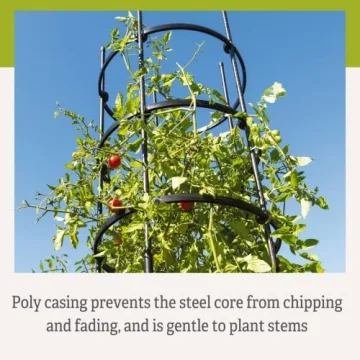Titan Tomato Cages | Sturdy Plant Support System