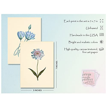 Blue Flower Wall Art Vintage Floral Prints Unframed