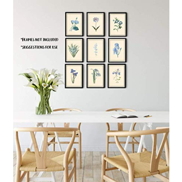 Blue Flower Wall Art Vintage Floral Prints Unframed