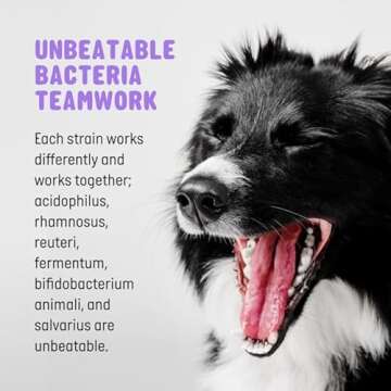 Active Chews | Pet Probiotics for Dogs | Dog Probiotics and Digestive Enzymes for Dogs Diarrhea, Gut Health for Dogs | Probiotic Chews for Dogs w/Fiber, Puppy probiotic Digestive Health, 120 ct