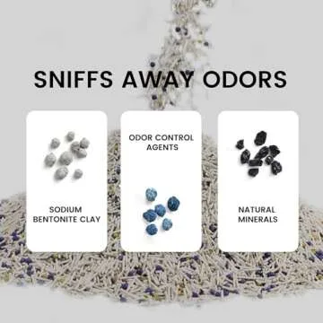 Tofu Cat Litter, Dr. PawPaw Clumping Cat Litter, Natural Tofu Scent 4.5 lb, Dust-Free Keep Kitty Tidy, Superior Odor Control Keep Step Fresh