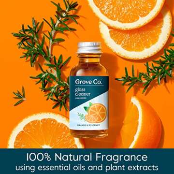 Grove Co. Glass Cleaner, Refill Concentrate (2 x 1 Fl Oz) + 1 x Reusable Glass Spray Bottle (16 Oz) ...