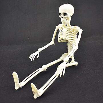 XONOR 16” Posable Halloween Skeleton- Full Body Halloween Skeleton with Movable Joints for Haunted...