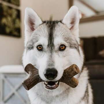 Lumabone Real Bacon Medium 3-Pack Durable Chew Toys