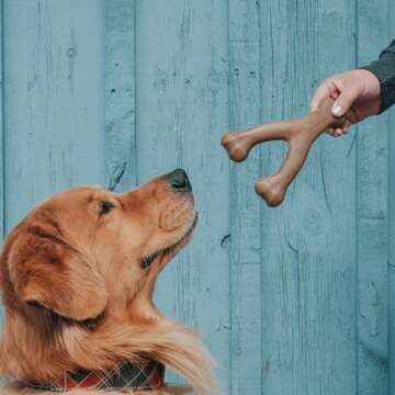 Lumabone Real Bacon Medium 3-Pack Durable Chew Toys