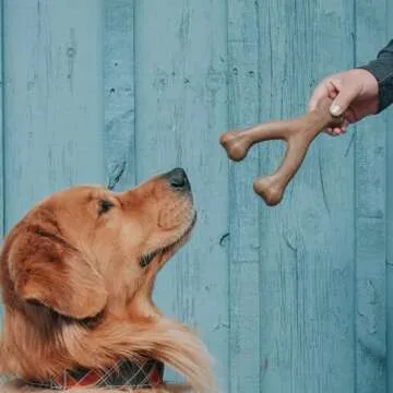 Lumabone Real Bacon Medium 3-Pack Durable Chew Toys