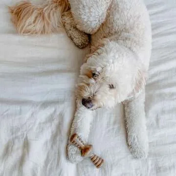 Lumabone Real Bacon Medium 3-Pack Durable Chew Toys