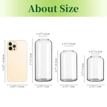 Hewory Glass Clear Modern Vase, Set of 6 - Small Bud Vases for Flowers, Elegant Home Decor Floral Arrangements, Wedding Party Events Centerpieces