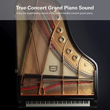 Yamaha P45B 88-Key Weighted Digital Piano for Musicians