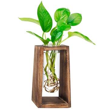 ONODIRY Plant Terrarium Plant Propagation Station Transparent Desktop Glass Planter Test Tube Vase w...