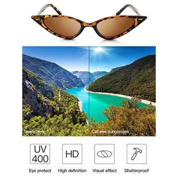 Frienda Vintage Cat Eye Leopard Sunglasses Retro Cat Eye Sunglasses for Women Men Classic Retro Designer Style Leopard (Brown)