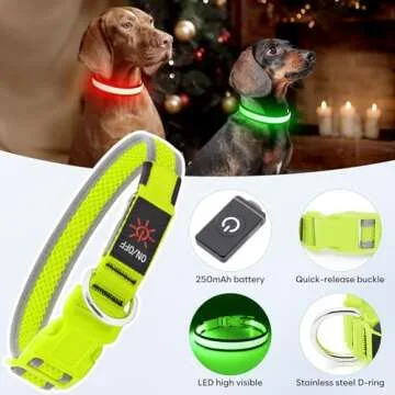 LED Dog Collar, Light Up Dog Collar USB Rechargeable, Brightest Dog Lights for Night Walking, Adjustable Dog Collar Light for Dog Safety(Medium, Neon Green)