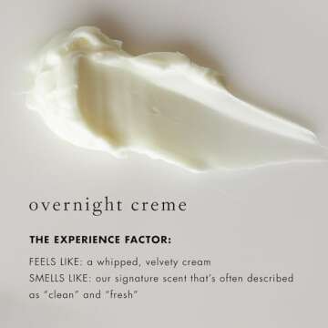 Bioelements Sleepwear - 1.5 fl oz - Night Cream for Dry to Combination Skin - With Calcium, Retinol & Peptides - Vegan, Gluten Free - Never Tested on Animals