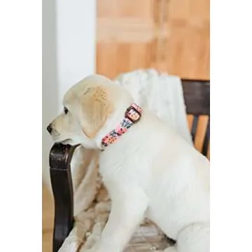 Personalized Handmade Dog Collars for Every Dog