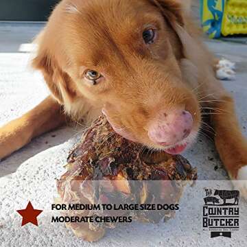 Beef Knuckle Dog Bones for Aggressive Chewers - 8 Count