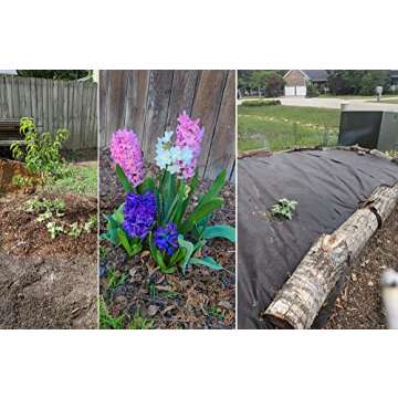 15 QT Professional Grade Horticultural Organic Vermiculite (15 QT, Vermiculite)