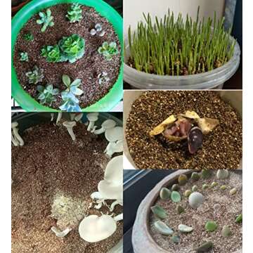 15 QT Professional Grade Horticultural Organic Vermiculite (15 QT, Vermiculite)