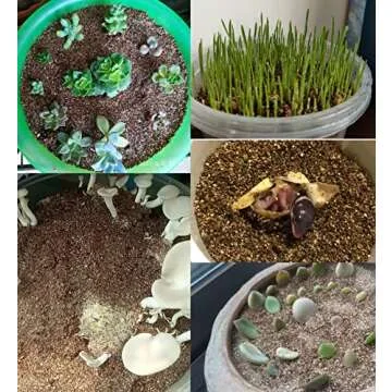 15 QT Professional Grade Horticultural Organic Vermiculite (15 QT, Vermiculite)