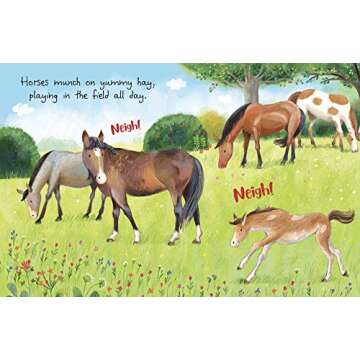 On The Farm - Children's Padded Board Book