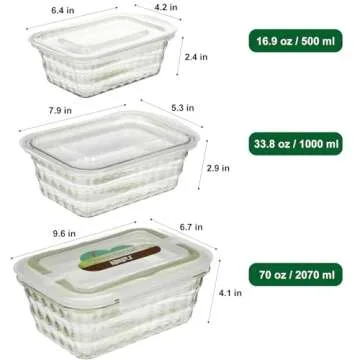 Taiuloo Set of 3 BPA Free Salad Storage Containers for Meal Prep and Snacks