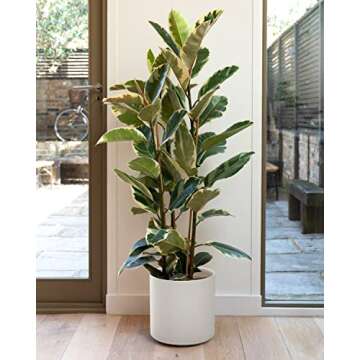 LE TAUCI 12 Inch Pot for Plants, Ceramic Large Planter for Indoor Plants, Mid-Century Modern Flower Pots with Drainage Hole and Removable Plug, White