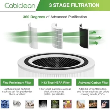 Cabiclean Core 200S Replacement Filters - 2 Pack