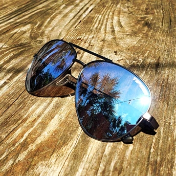 Tifosi Optics Shwae Aviator Sunglasses in Graphite