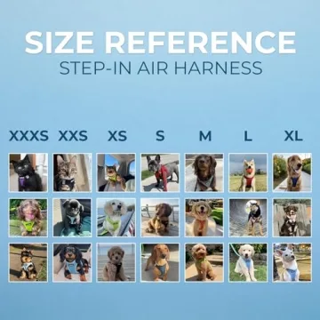 All Weather Mesh Harness and Leash Combo for Pets