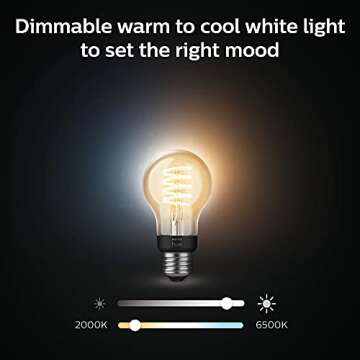 Philips Hue Smart 40W A19 Filament LED Bulb - White Ambiance Warm-to-Cool White Light - 2 Pack - 550LM - E26 - Indoor - Control with Hue App - Works with Alexa, Google Assistant and Apple Homekit