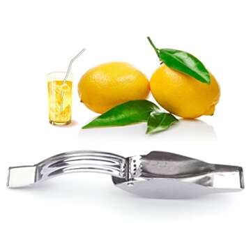 Garhelper Manual Lemon Juicer, Stainless Steel Fish Shape Lemon Squeezer, Manual Lemon Slice Squeeze...
