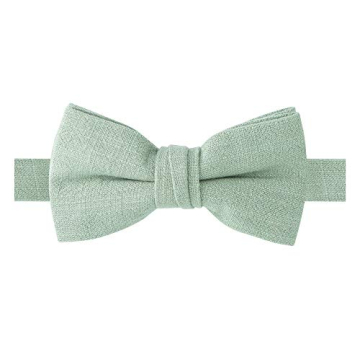 Spring Notion Boys' Linen Blend Bow Tie, Sage Medium