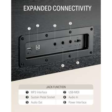 Donner DDP-100 88-Key Weighted Action Digital Piano for Beginner Bundle with Piano Keyboard Stand, Power Adapter, Triple Pedals, MP3 Function, USB-MIDI, 2 Headphone Jacks Black