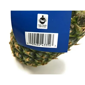 Sweet Organic Gold Pineapple Delivered Fresh from Costa Rica