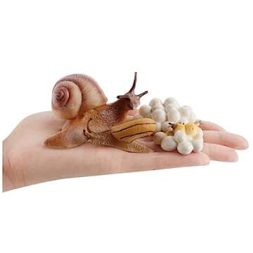 MIKNEKE Montessori Life Cycle Animal Figurines Learning & Education Toys, Plastic Insect Life Cycle Toys for Kids, Preschool Learning Activities for Toddlers (Snail)