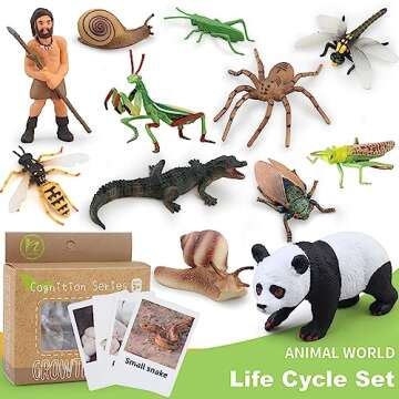 MIKNEKE Montessori Life Cycle Animal Figurines Learning & Education Toys, Plastic Insect Life Cycle Toys for Kids, Preschool Learning Activities for Toddlers (Snail)