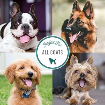 Nature’s Specialties Quick Relief Dog Shampoo for Itchy Skin
