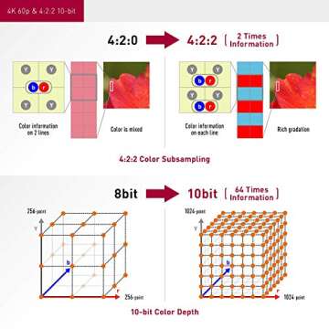 Panasonic X2000 4K Professional Camcorder with 24x Zoom and Live Streaming