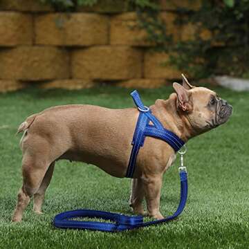 Plutus Pet Adjustable No Pull Dog Harness for All Dogs