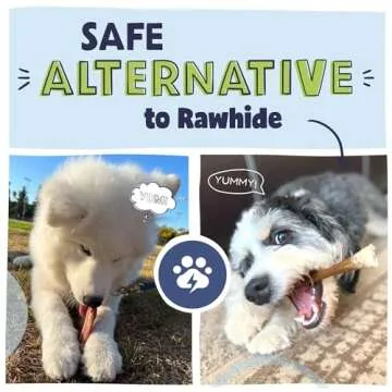 Pawstruck Natural Bizarre Bully Sticks Bargain Bag for Dogs and Puppies – Variety Pack of 5–7" Long-Lasting, Eco-Conscious Beef Chew Treats – 8 oz Bag – Packaging May Vary