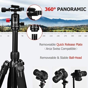 MACTREM Lightweight Tripod for Camera & Phone Mount 62 Inch