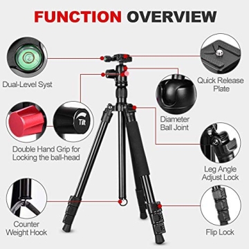 MACTREM Lightweight Tripod for Camera & Phone Mount 62 Inch